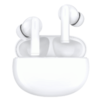 HONOR Earbuds X5